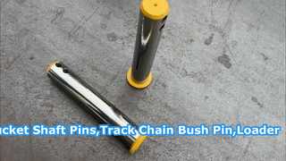 Custom OEM Excavator Parts Excavator Loader Track Chain Bush Pin Bucket Various Size Boom Cylinder P